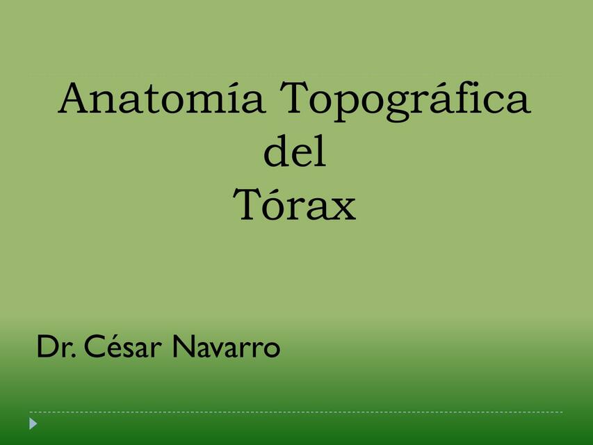 Anatomía Topográfica del Tórax 