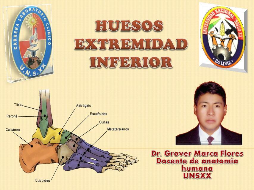 Huesos Extremidad Inferior 