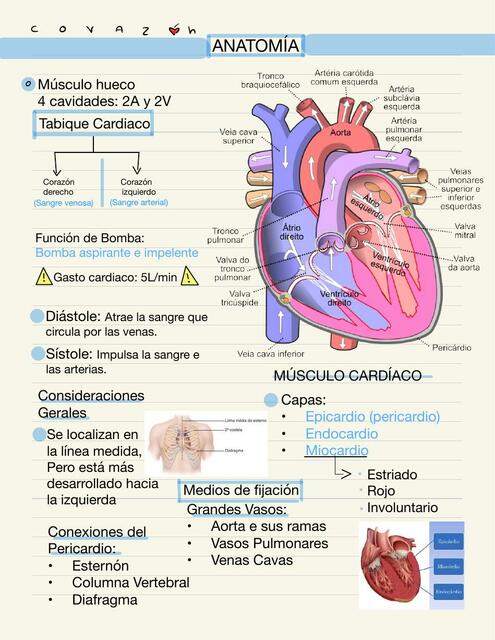 Corazón 