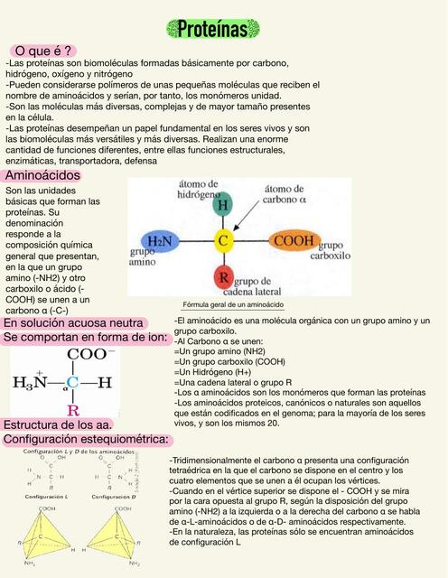 Proteínas 