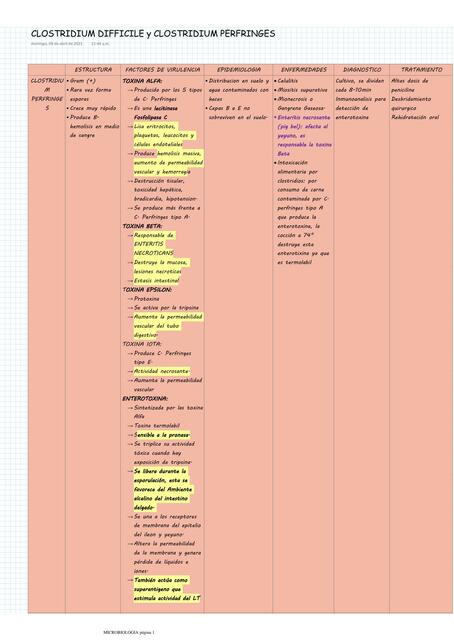 Clostridium Difficile y Clostridium Perfringens 