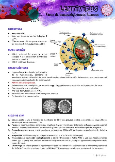 Resúmen VIH (Virus de Inmunodeficiencia Humana)