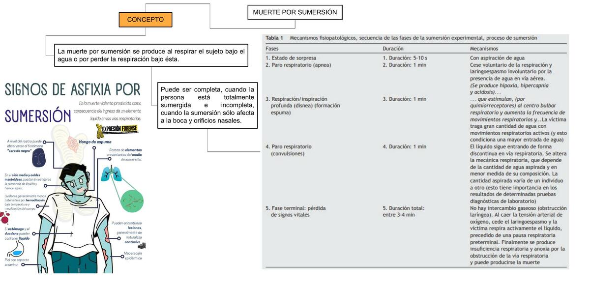 Muerte por sumersión, muerte por asfixias mecánica | MiddleMedic | uDocz