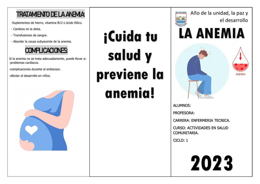 Triptico De Anemia 2