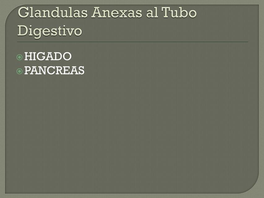 Glándulas Anexas del Tubo Digestivo 