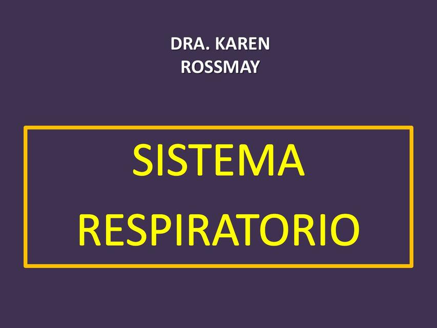 Sistema Respiratorio 