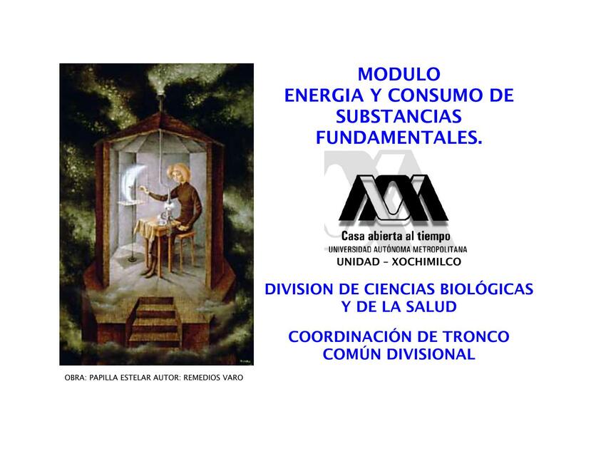 Energía y Consumo de Substancias Fundamentales 