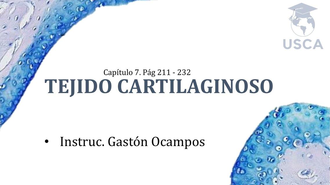 Tejido Cartilaginoso