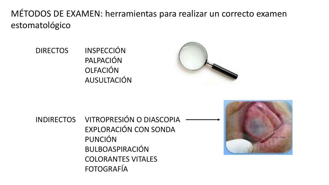 Métodos de Examen Estomatológico