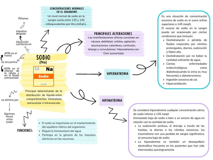 Sodio y Potasio