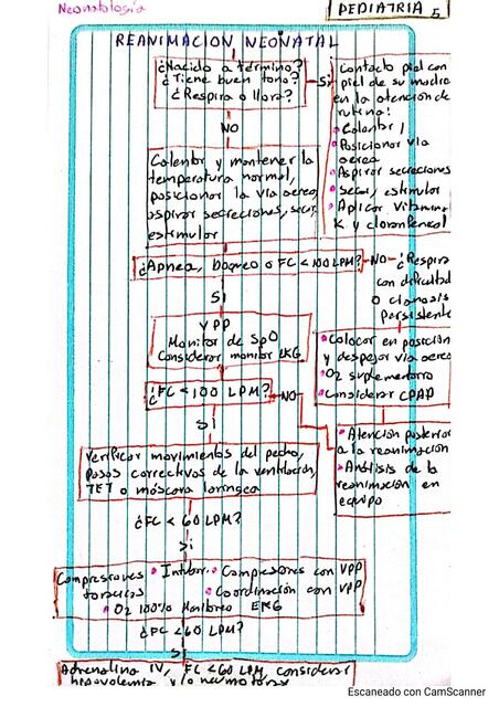 Reanimación Neonatal