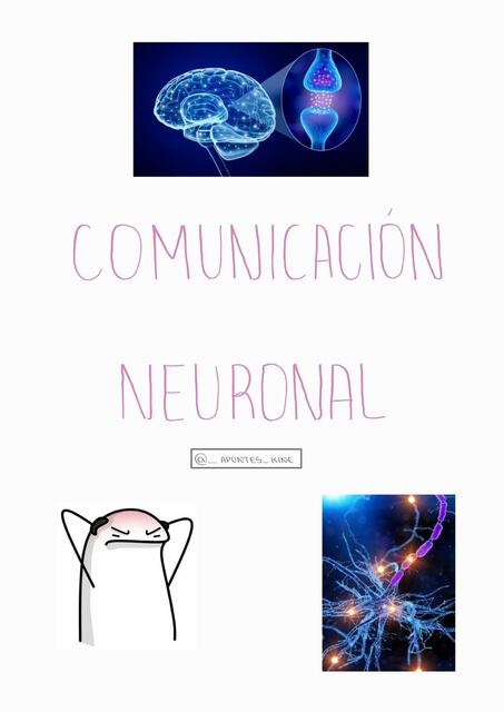 Comunicación Neuronal 