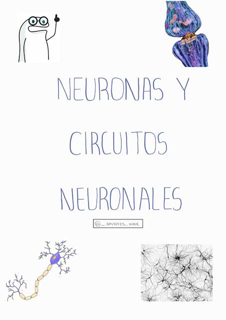 Neuronas y Circuitos Neuronales 