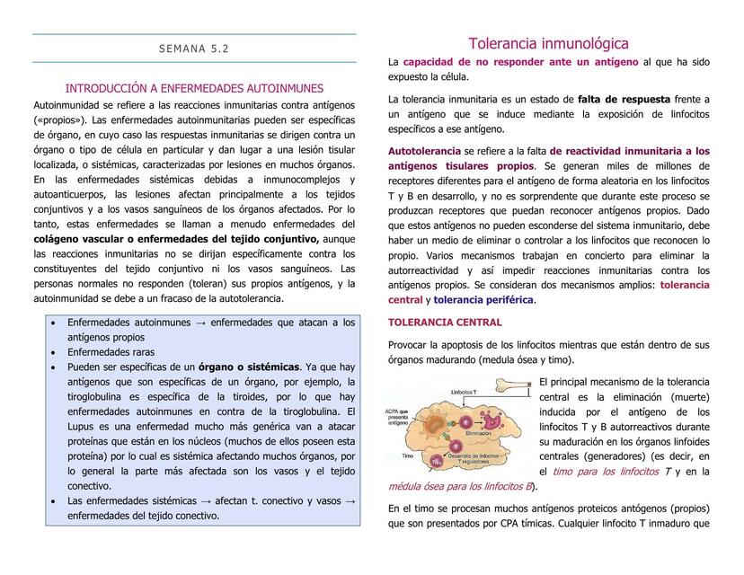 Tolerancia inmunológica  