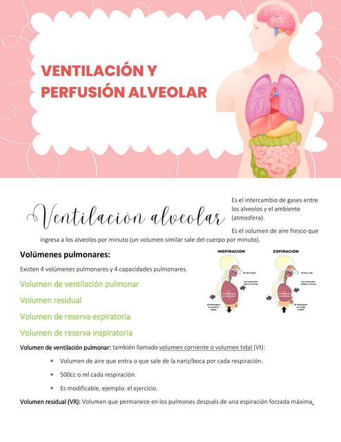 Ventilación y Perfusión Alveolar  