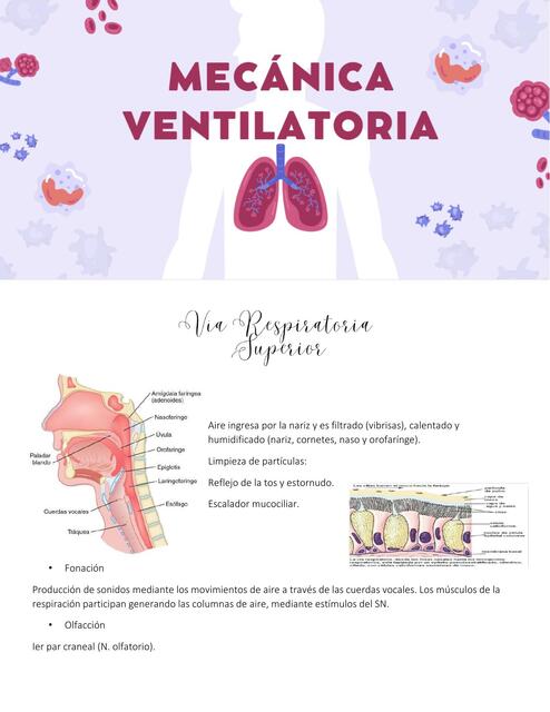 Mecánica Ventilatoria  