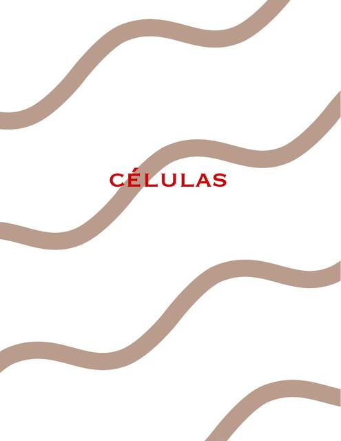 Células