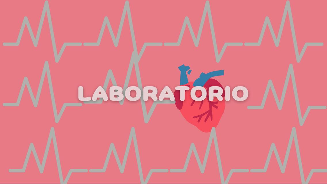 Laboratorio