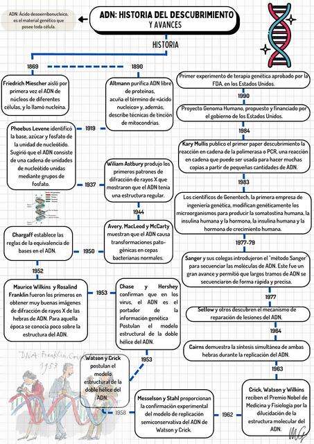 ADN: Historia del Descubrimiento y Avances 