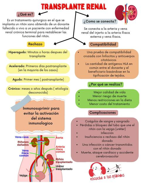 Trasplante Renal