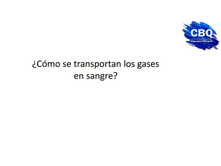 ¿Cómo se Transportan los Gases en Sangre?