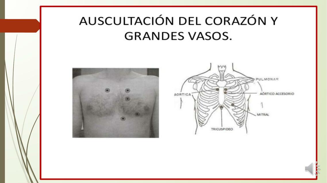 Auscultación del Corazón y Grandes Vasos 