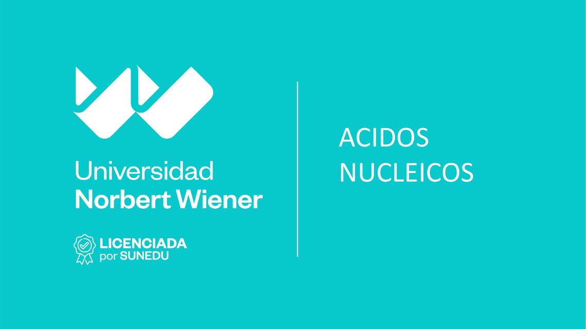 Ácidos Nucleicos 