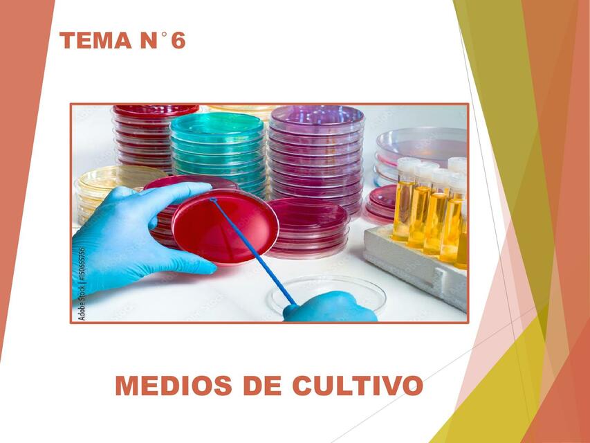 Tema 6 Medios de cultivo 