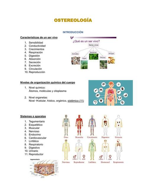 Generalidades osteología