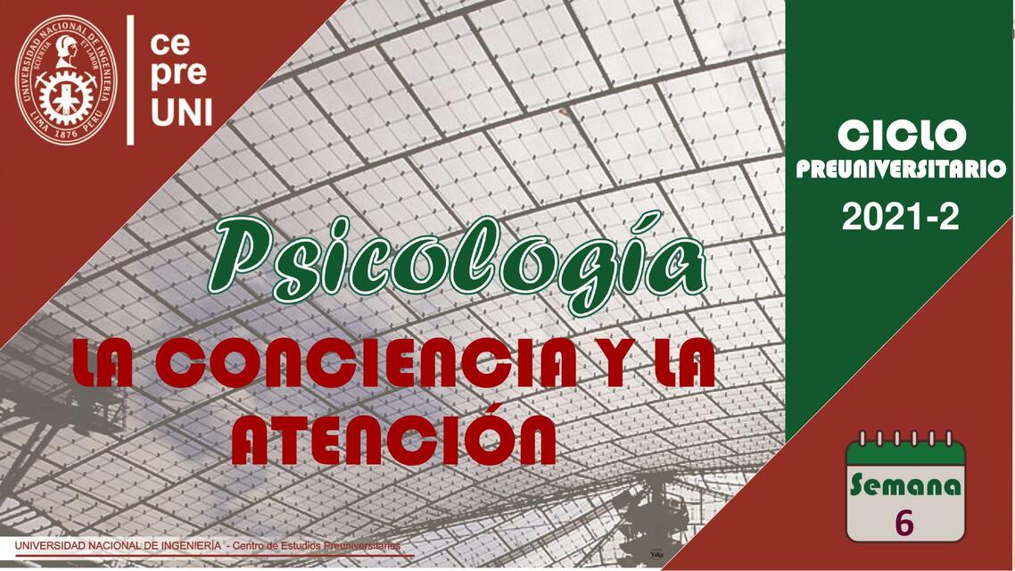 La Conciencia y la Atención