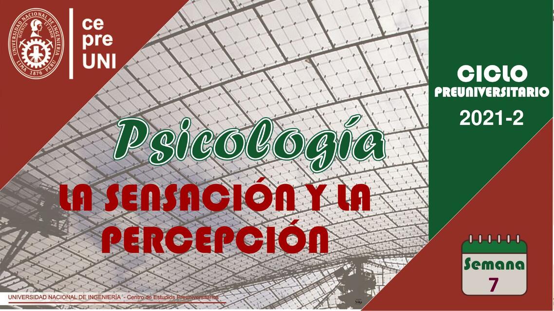 La Sensación y la Percepción 