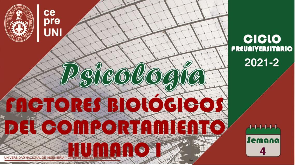 Factores biológicos del comportamiento humano