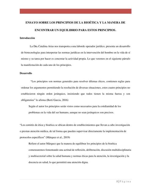 Ensayo sobre los Principios de la Bioética y la Manera de Encontrar un Equilibrio para Estos Principios 