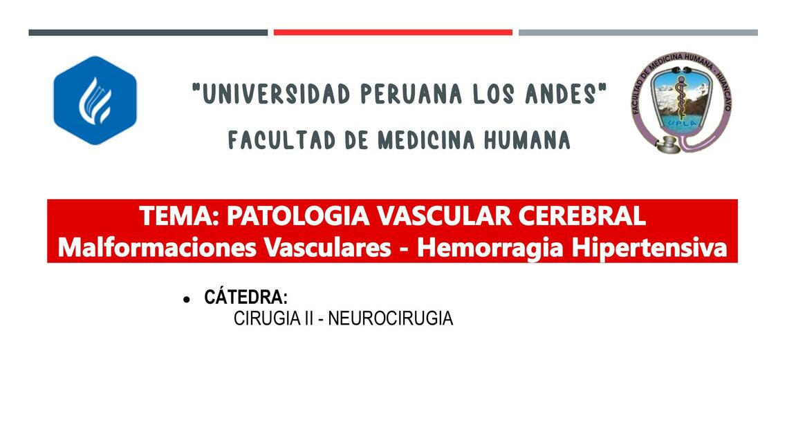 Patología vascular cerebral