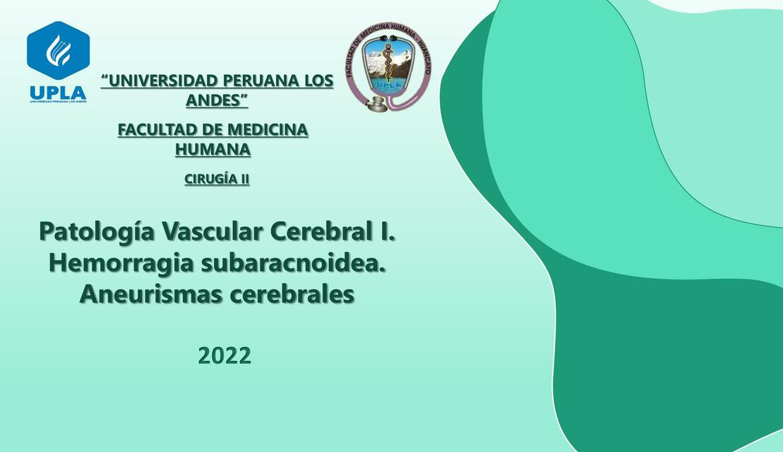 Patología Vascular Cerebral HSA I