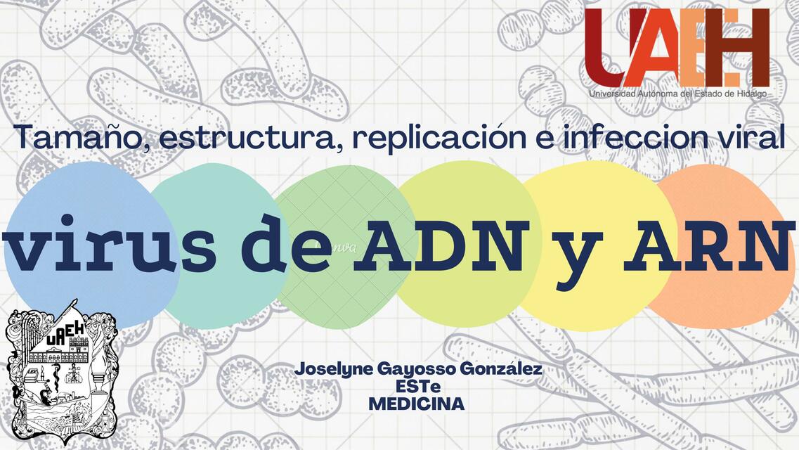 Virus de ADN Y ARN