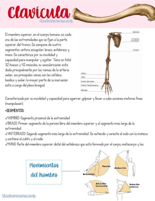 Clavícula