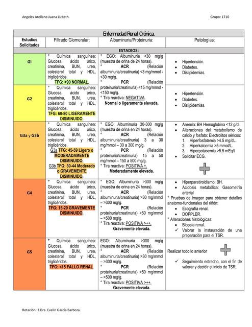 Enfermedad Renal Crónica