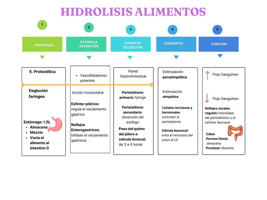 Hidrólisis de Alimentos