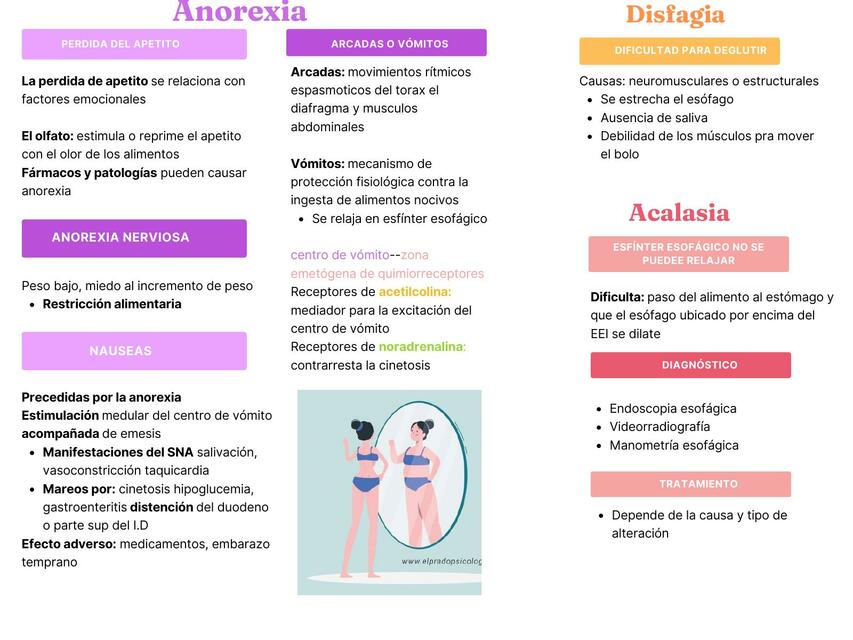 Anorexia, Disfagia, Acalasia y ERGE