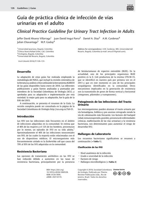 Guía de práctica clínica: Infección vías urinarias en el adulto 