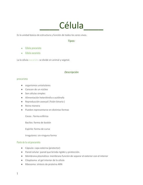 Biología célula y tipos 