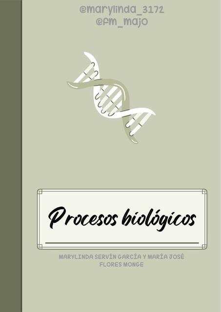 Procesos Biológicos