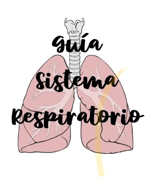 Guía Sistema Respiratorio