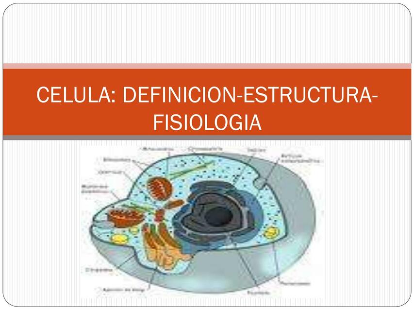 Célula: Definición- Estructura- Fisiología 