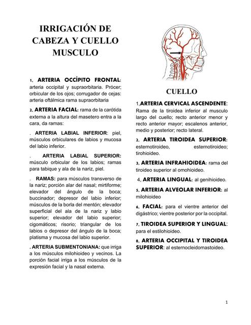 Irrigación de Cabeza y Cuello. Músculo 