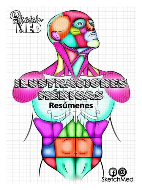 Ilustraciones Médicas 