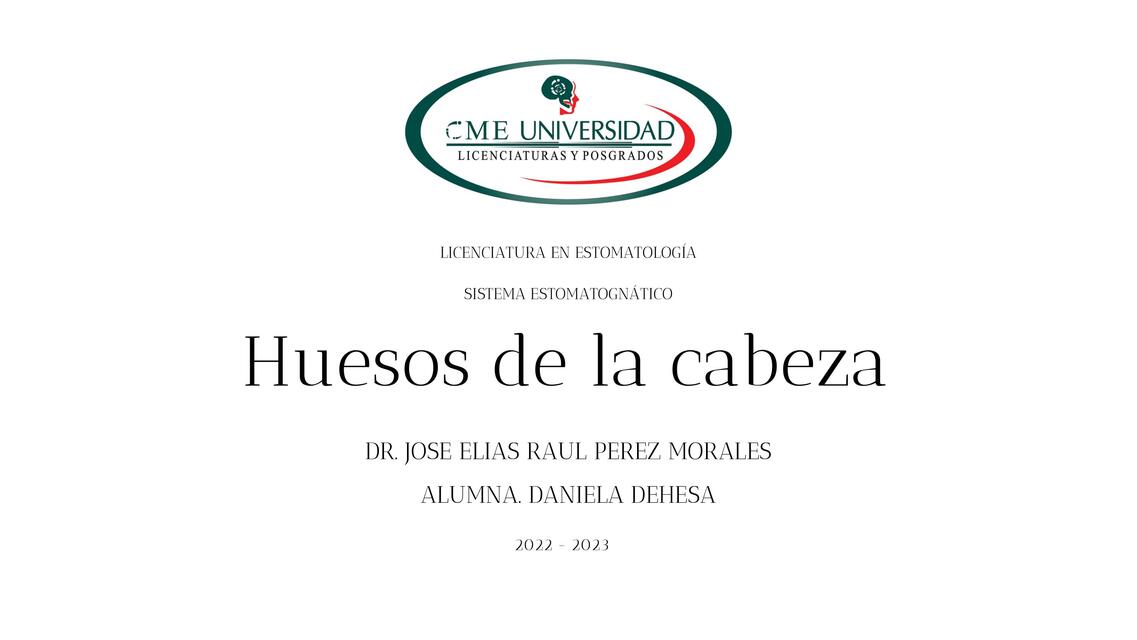 Huesos de la cabeza 