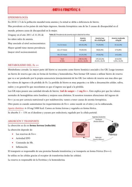 Anemia Ferropénica  