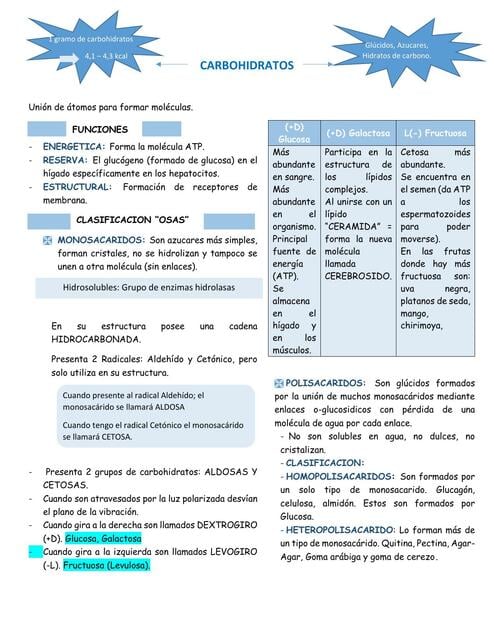 carbohidratos-nicolle-durand-udocz